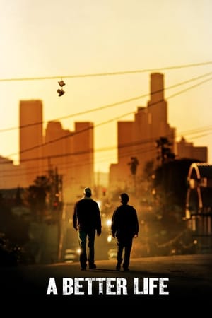 A Better Life (2011) Hindi Dual Audio 300MB - Movierulz