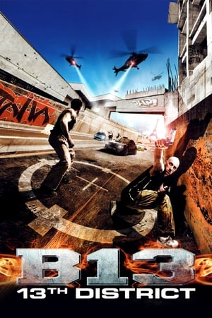 District B13 (2004) Hindi Dual Audio 300MB - Movierulz