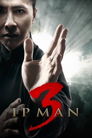 Ip Man 3 (2015) Hindi Dual Audio [900MB] - Movierulz