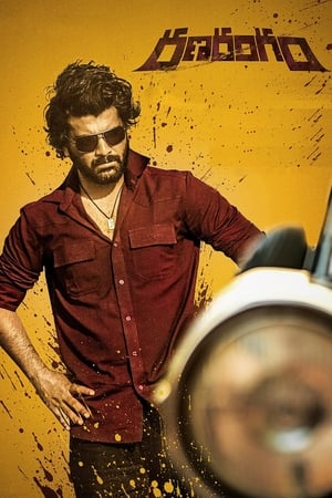 Ranarangam 2019 (Hindi – Telugu) Dual Audio 450MB - Movierulz