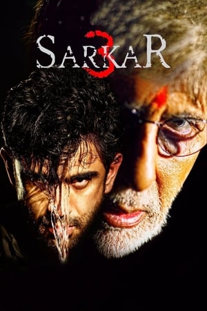 Sarkar 3 2017 350MB Full Movie Download - Movierulz