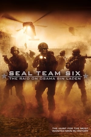 Seal Team Six: The Raid on Osama Bin Laden (2012) Hindi Dual Audio Full Movie - 1.3GB - Movierulz