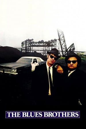 The Blues Brothers (1980) Hindi Dual Audio [1.3GB] ESubs - Movierulz