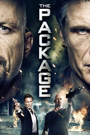 The Package (2013) Hindi Dual Audio 350MB - Movierulz